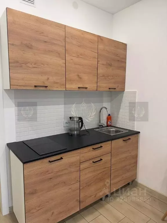 Студия Санкт-Петербург аллея Арцеуловская, 9 (24.3 м) - Фото 2