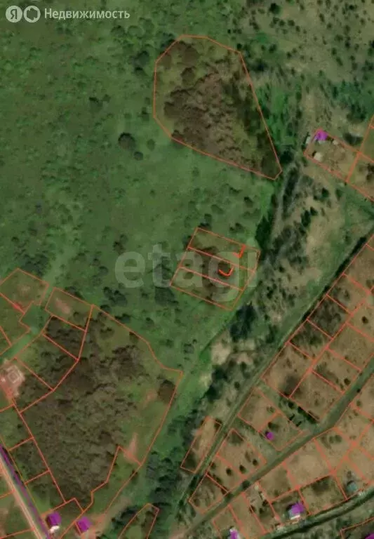 Участок в Горно-Алтайск, СНТ Бочкарёвка (10 м) - Фото 2