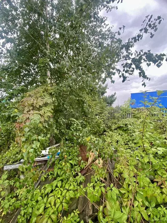 Дача 12 м на участке 5,5 сот. - Фото 1