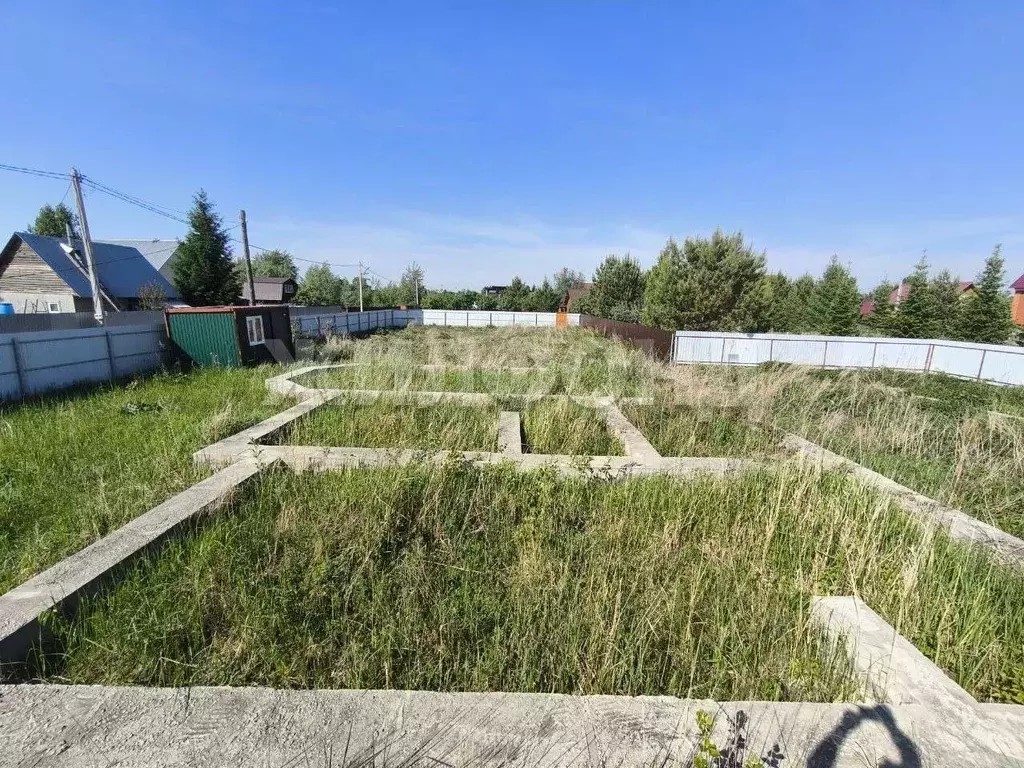 Участок в Новосибирская область, Колыванский район, Приобье СНТ ул. ... - Фото 1