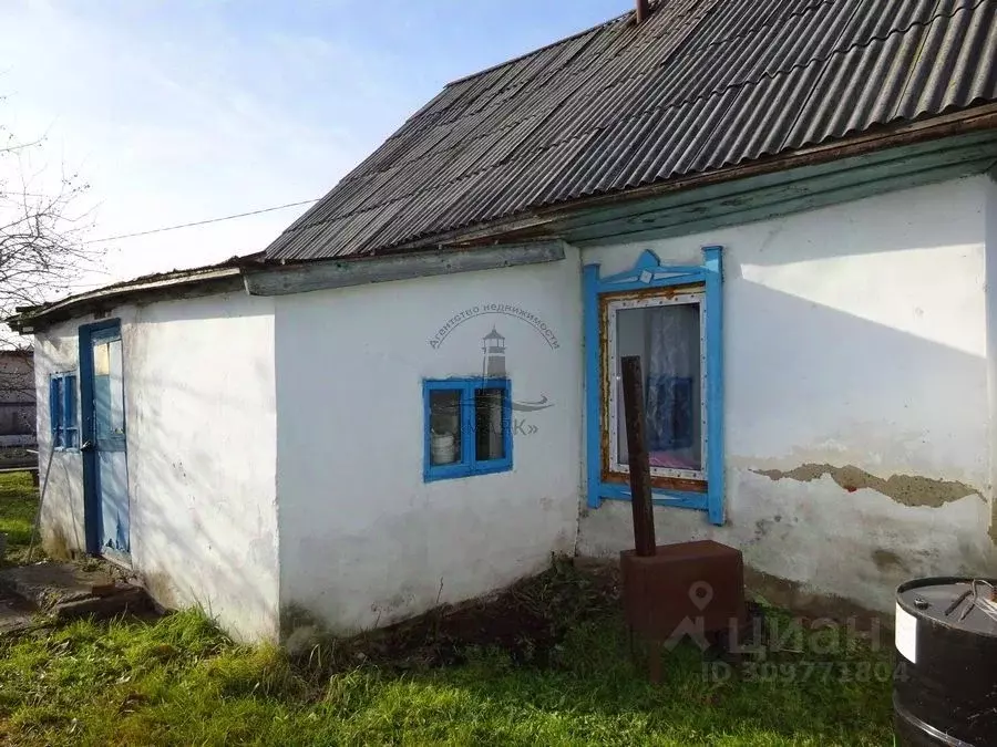 Дом в Новосибирская область, Новосибирский район, Толмачевский ... - Фото 1