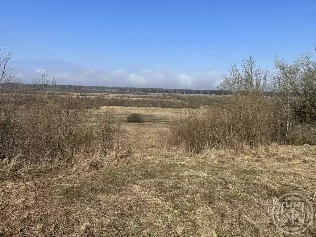 Участок в Ленинградская область, Всеволожский район, Колтушское ... - Фото 1
