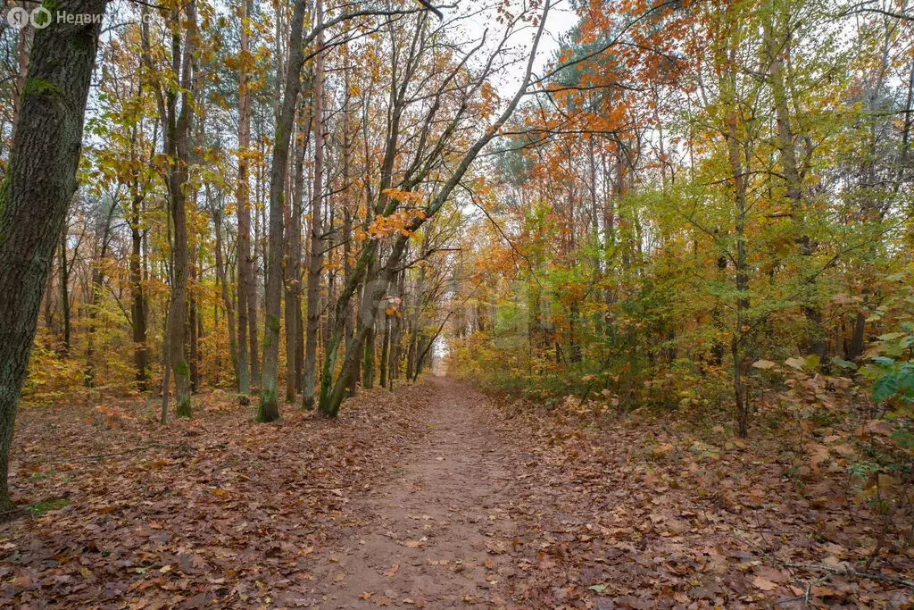 Участок в Калининград, Московский район (7.31 м) - Фото 2
