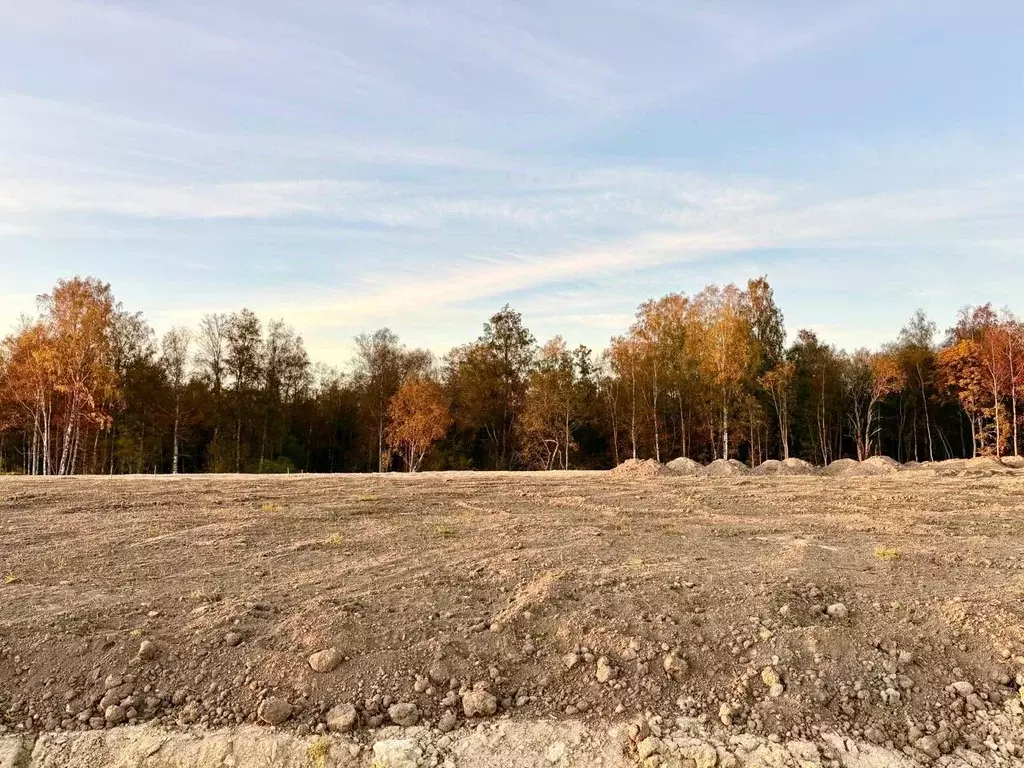 Участок в Ленинградская область, Ломоносовский район, Лопухинское ... - Фото 1