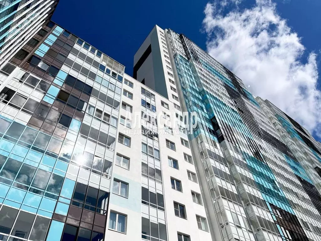 Студия Санкт-Петербург ул. Плесецкая, 20к1 (24.5 м) - Фото 1