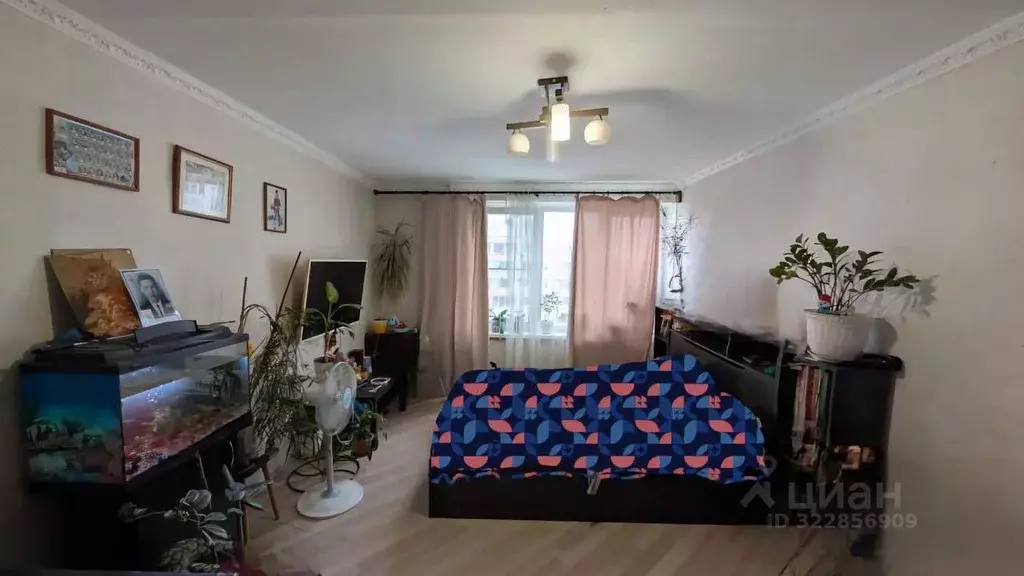 Комната Москва, Москва, Московский г. 1-й мкр, 15 (22.8 м) - Фото 1