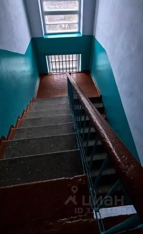 3-к кв. Вологодская область, Вологда Элеваторная ул., 23 (54.3 м) - Фото 2