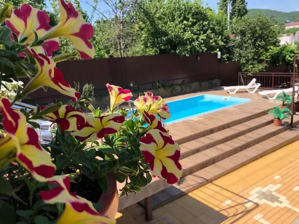 Комната Краснодарский край, Туапсе ул. Дзержинского, 31 - Фото 1