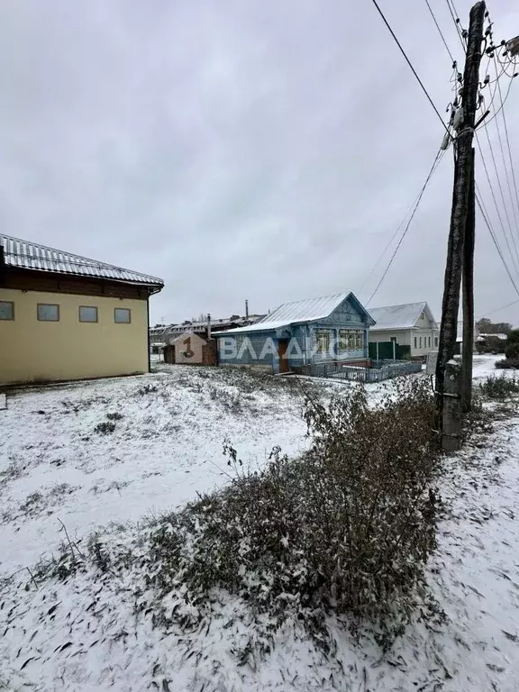 Участок в Владимирская область, Суздальский район, Селецкое ... - Фото 2