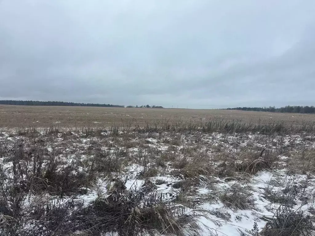 Участок в Московская область, Рузский муниципальный округ, д. Грибцово ... - Фото 2