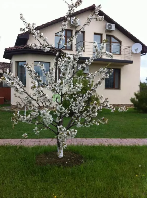 Дом в Бахчисарайский район, село Песчаное (239 м) - Фото 2