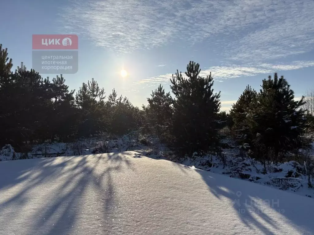 Участок в Рязанская область, Рязанский муниципальный округ, д. Полково ... - Фото 2
