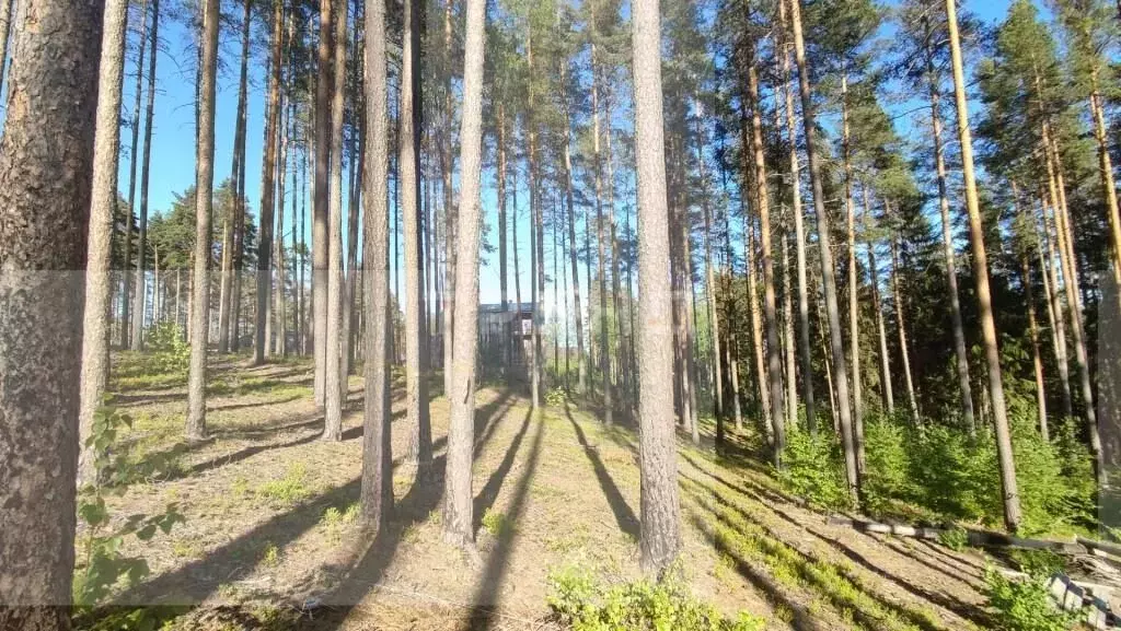 Участок в Ленинградская область, Выборгский район, Полянское с/пос, ... - Фото 0