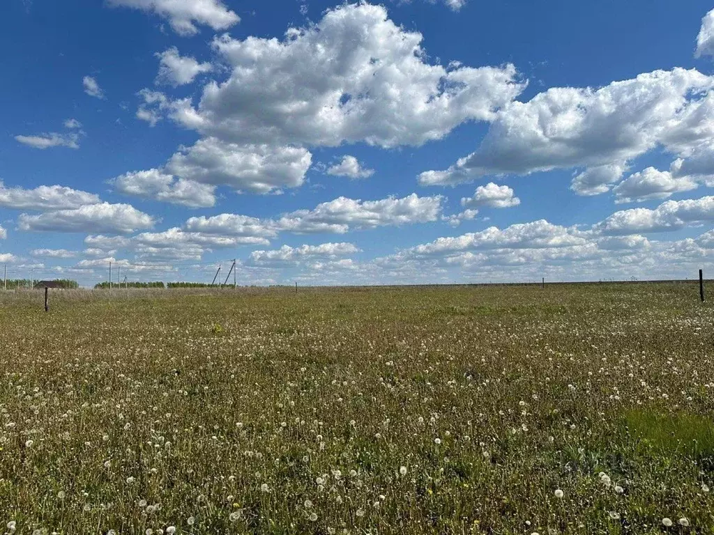 Участок в Башкортостан, Кушнаренковский сельсовет, с. Тарабердино пер. ... - Фото 1