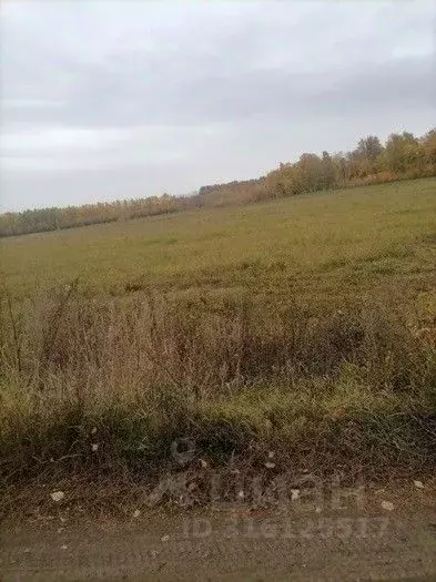 Участок в Татарстан, Зеленодольский район, Нурлатское с/пос, с. ... - Фото 0