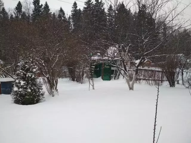 Продается дача в г. Ивантеевка - Фото 2