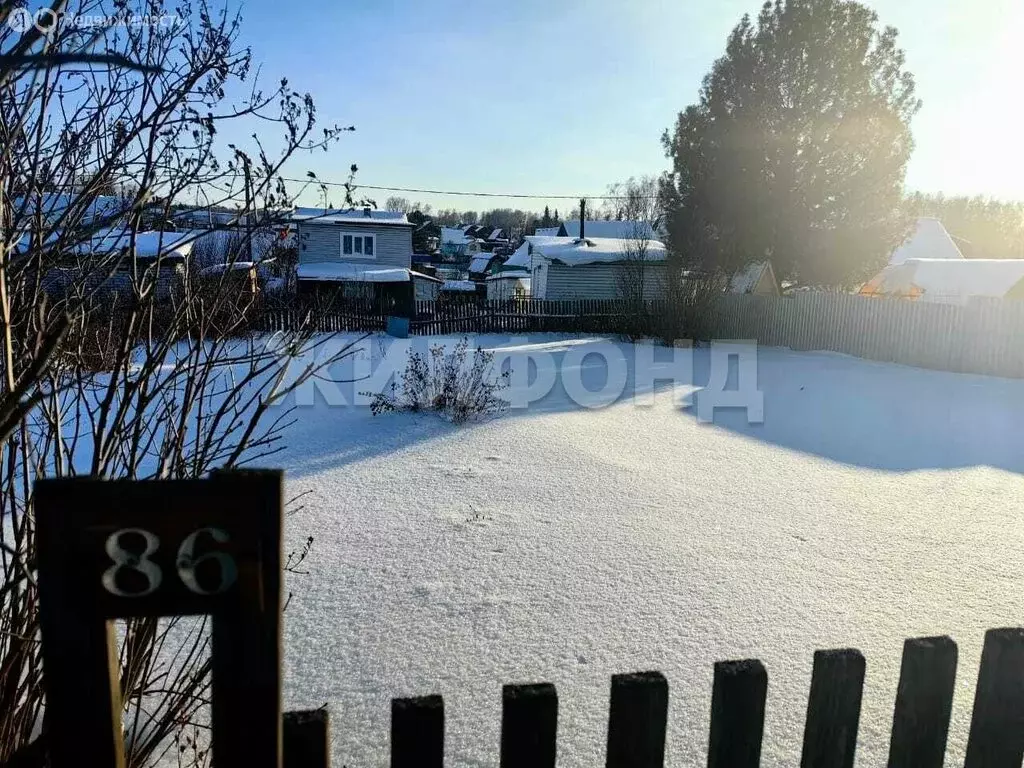 Участок в Новосибирский район, Морской сельсовет, садовое товарищество ... - Фото 0