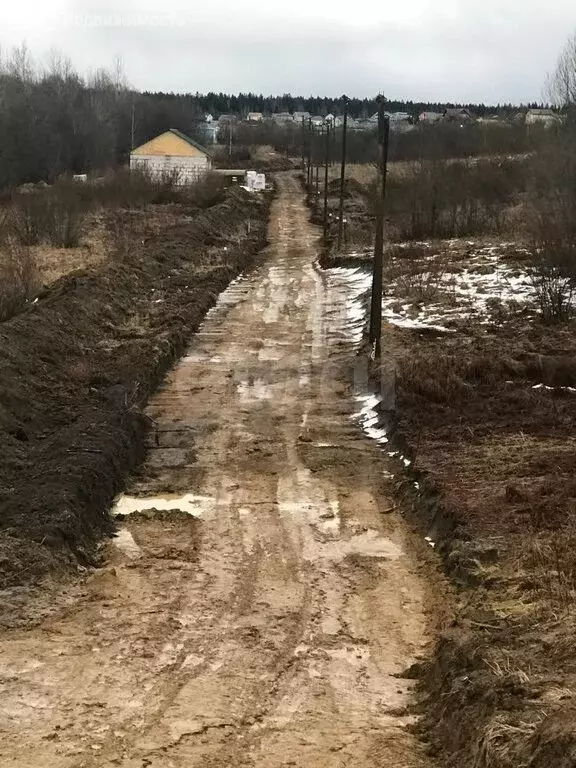 Участок в Куйвозовское сельское поселение, массив Екатериновка, ... - Фото 1