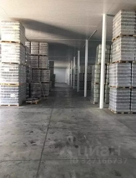 Помещение свободного назначения в Краснодарский край, Краснодар пос. ... - Фото 1