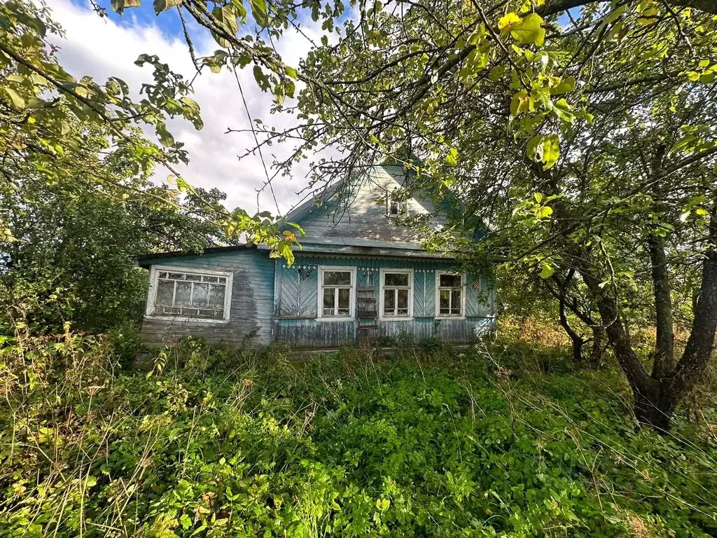 Участок в Новгородская область, Новгородский район, Трубичинское ... - Фото 0