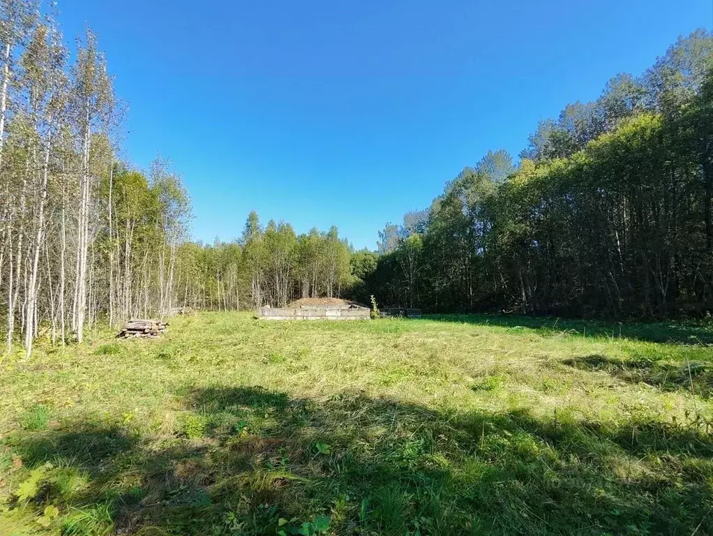 Участок в Московская область, Рузский городской округ, с. Покровское  ... - Фото 1