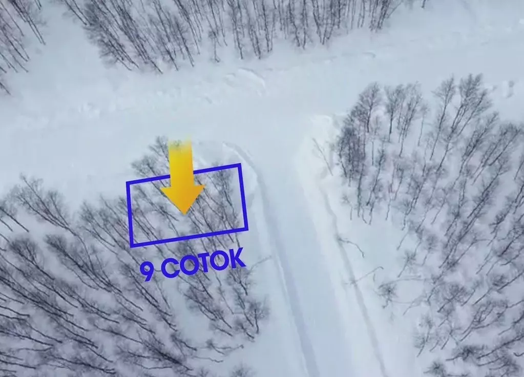 Участок в Московская область, Серпухов городской округ, пос. ... - Фото 2