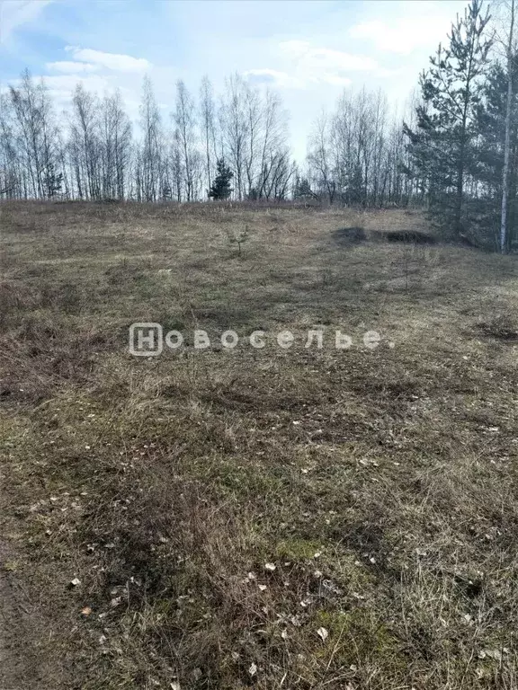 Участок в Рязанская область, Рязанский район, Мурминское с/пос, с. ... - Фото 2