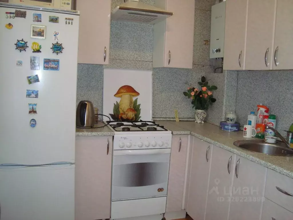 3-к кв. Воронежская область, Воронеж ул. Циолковского, 17 (86.0 м) - Фото 1