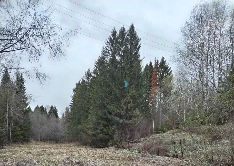 Участок в Пермский край, Добрянский городской округ, д. Конец Гор  ... - Фото 0