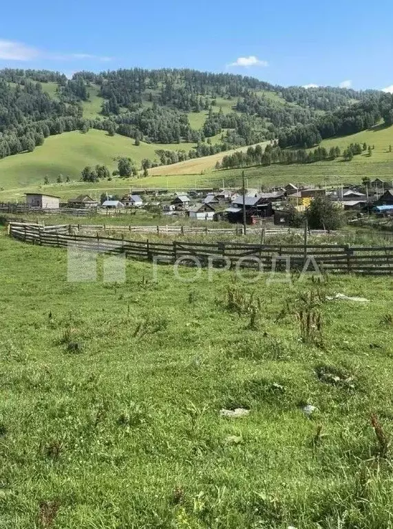 Участок в Алтай, Майминский район, с. Урлу-Аспак Заречная ул. (28.0 ... - Фото 2