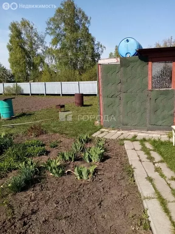 Участок в Первомайский район, СНТ Рябинушка, 6-я линия (10.96 м) - Фото 2