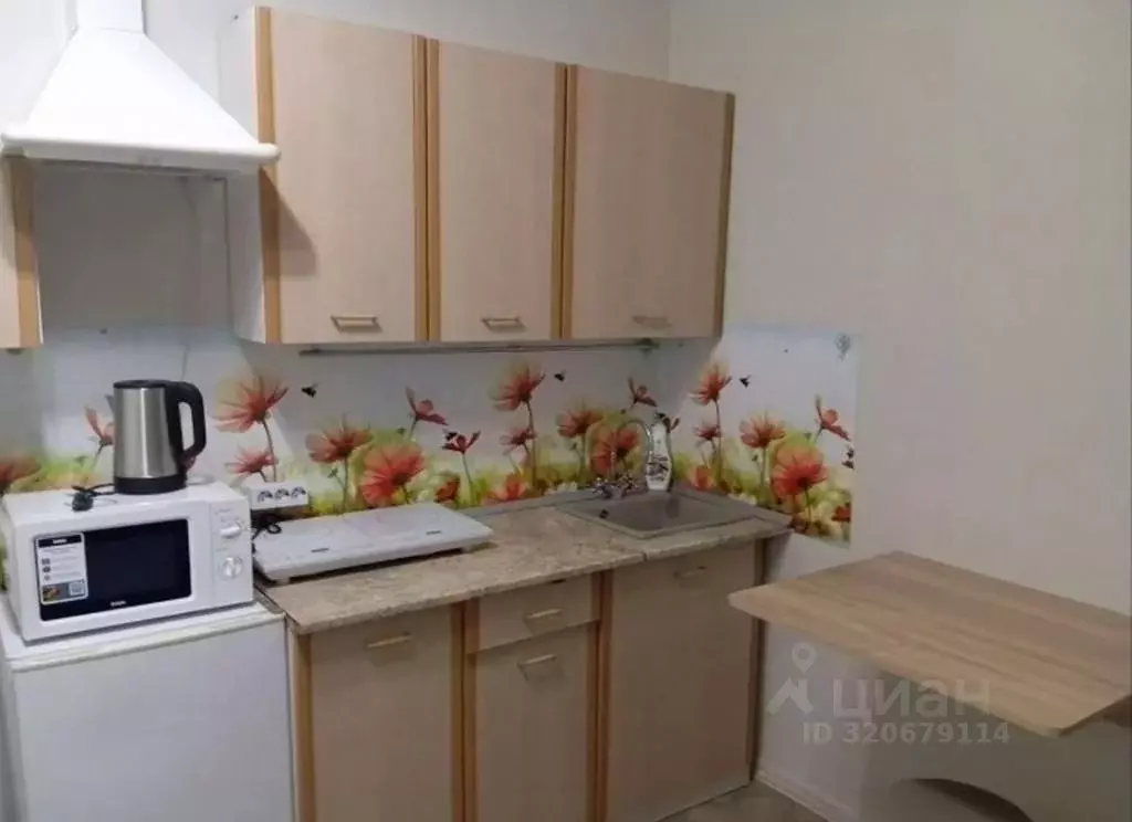 1-к кв. Московская область, Химки городской округ, д. Брехово, ... - Фото 2