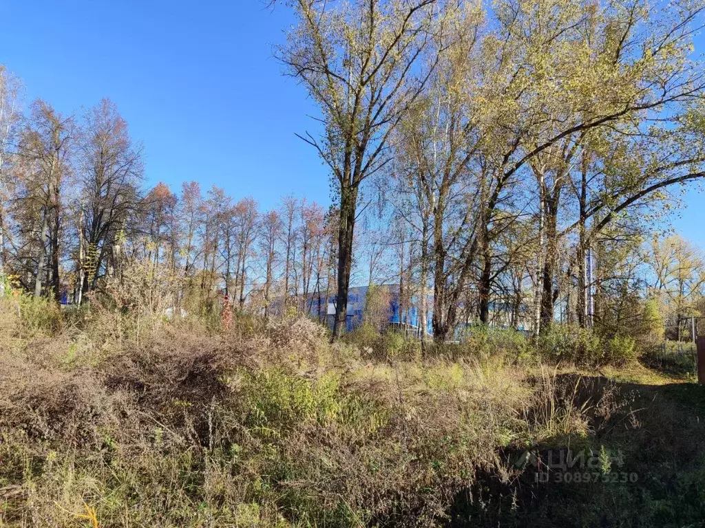 Участок в Калужская область, Кондрово г. Дзержинский муниципальный ... - Фото 1