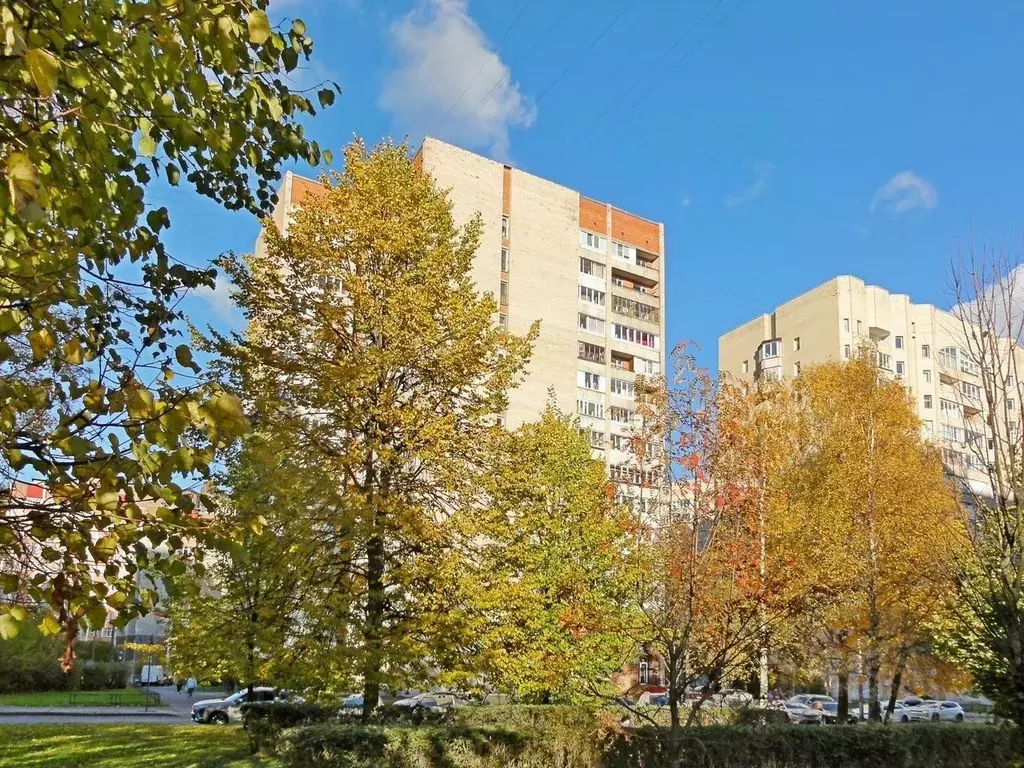 4-к кв. Санкт-Петербург аллея Поликарпова, 1 (100.0 м) - Фото 2