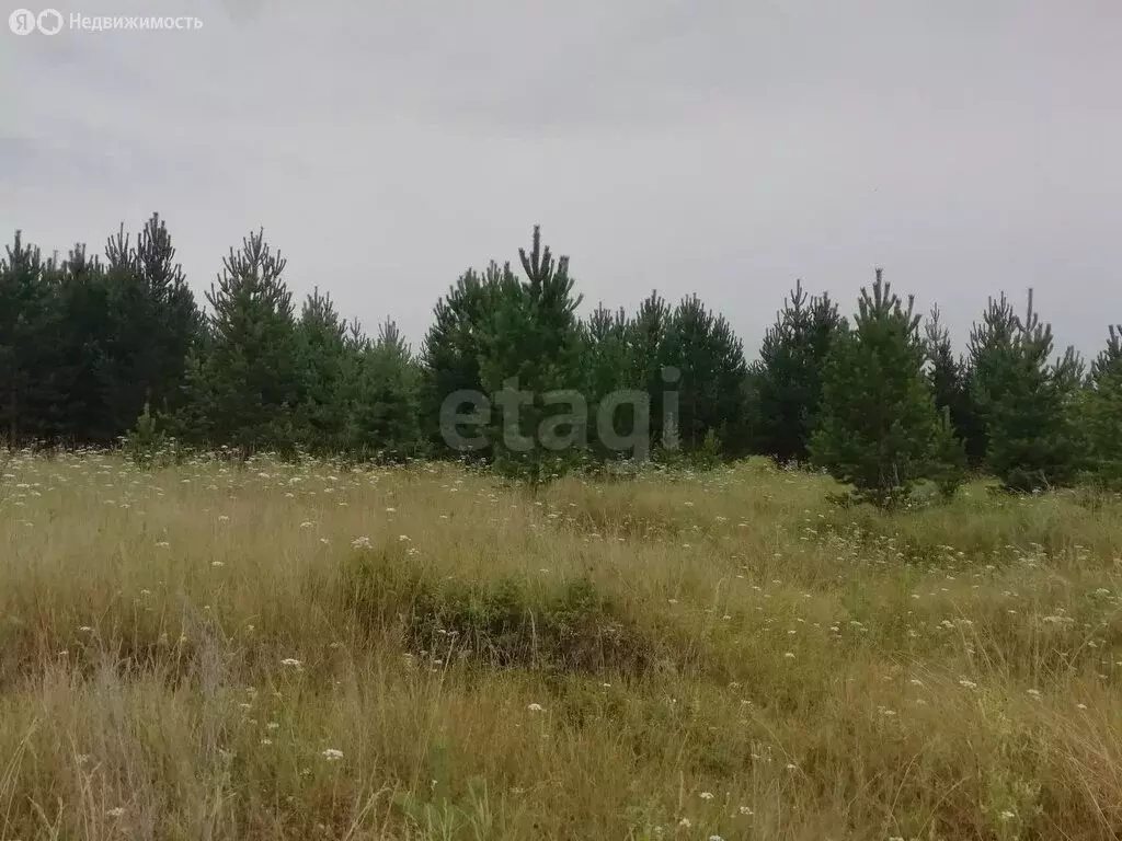 Участок в Миасский городской округ, посёлок Новотагилка (8.8 м) - Фото 1