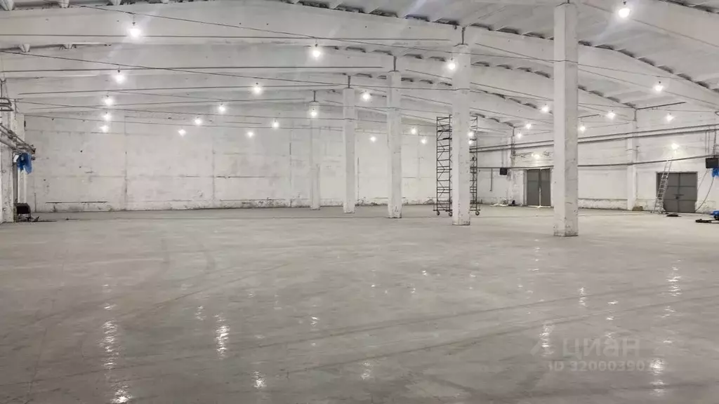 Склад в Свердловская область, Екатеринбург ул. Ангарская, 77Б (2000 м) - Фото 1