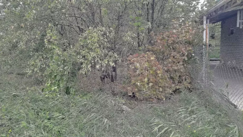 Участок в Ставропольский край, Ставрополь Химик садовое товарищество, ... - Фото 2