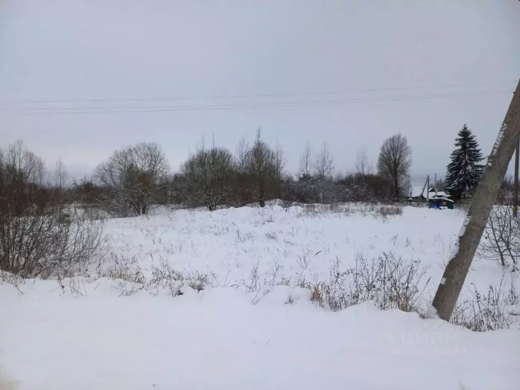 Участок в Псковская область, Псковский район, Логозовская волость, д. ... - Фото 2