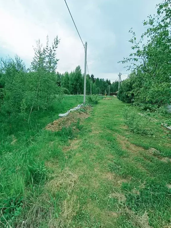 Участок в Ярославская область, Ярославский муниципальный округ, ДНП ... - Фото 2