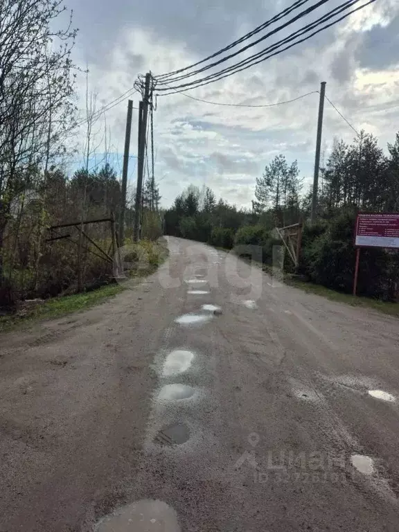 Участок в Ярославская область, Ярославский муниципальный округ, ... - Фото 1