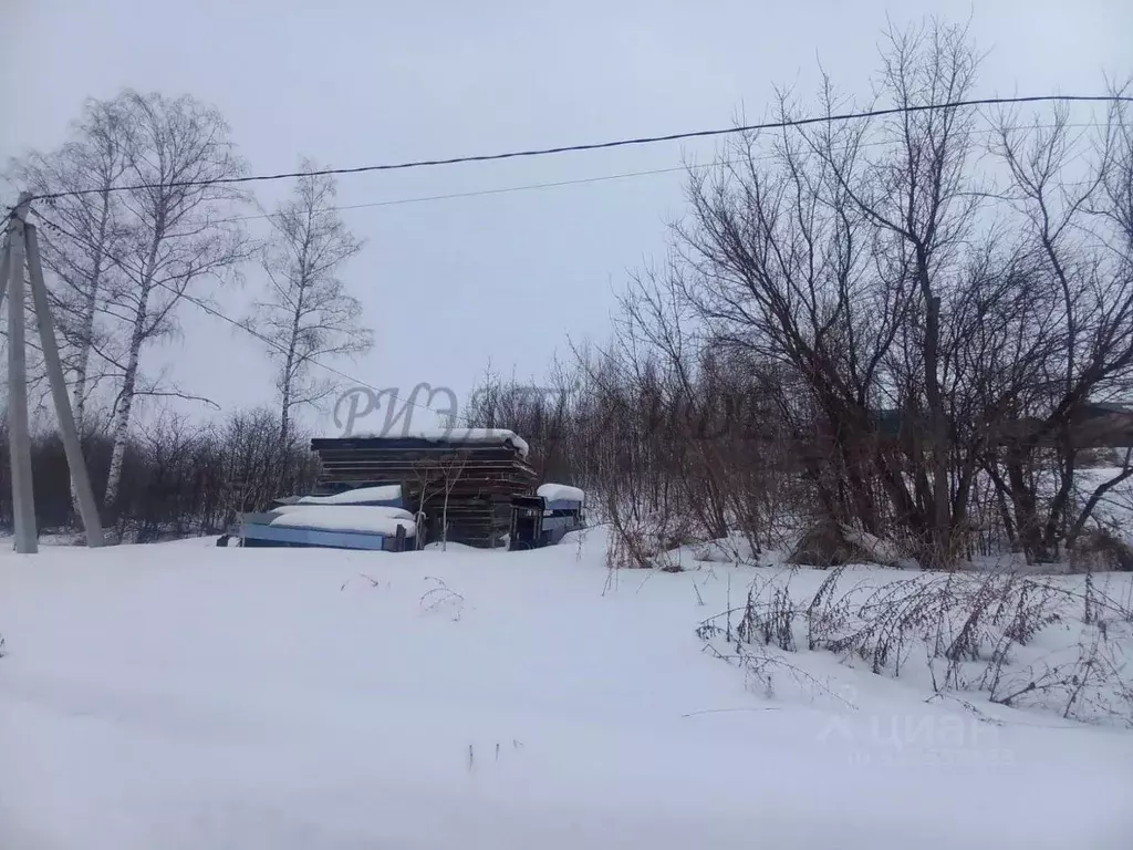 Участок в Алтай, Майминский район, пос. Карлушка ул. Романа Отрепова, ... - Фото 2