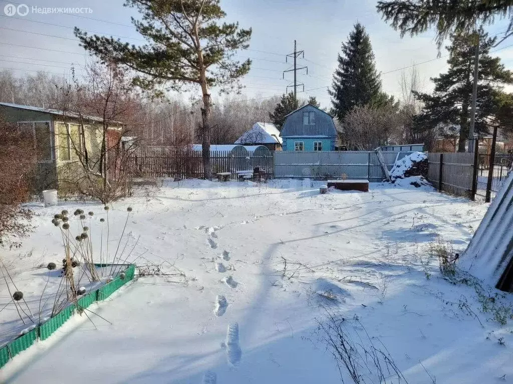 Дом в Омск, территория СОСН Маяк-1 (20 м) - Фото 0