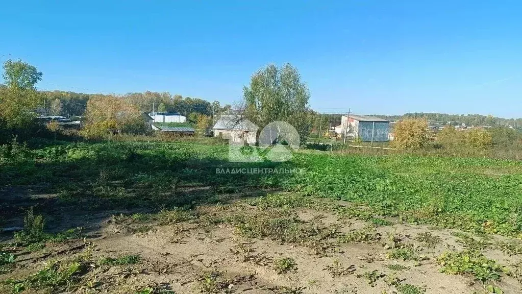 Участок в Новосибирская область, Мошковский район, с. Барлак ... - Фото 2