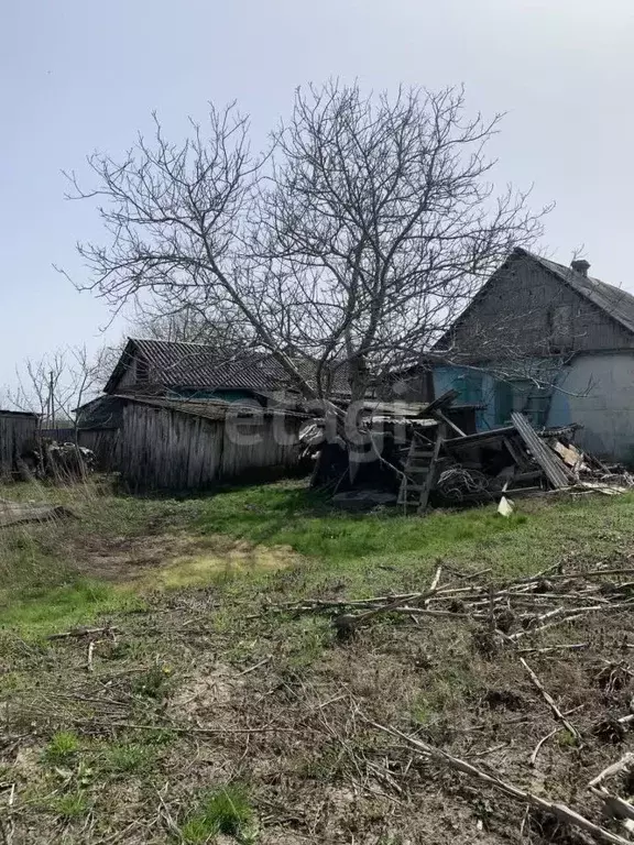 Дом в Краснодарский край, Горячий Ключ муниципальный округ, Мартанская ... - Фото 1