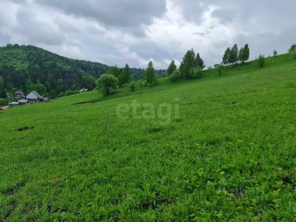 Участок в Алтай, Майминский район, с. Кызыл-Озек ул. Вечерняя, 13 ... - Фото 0