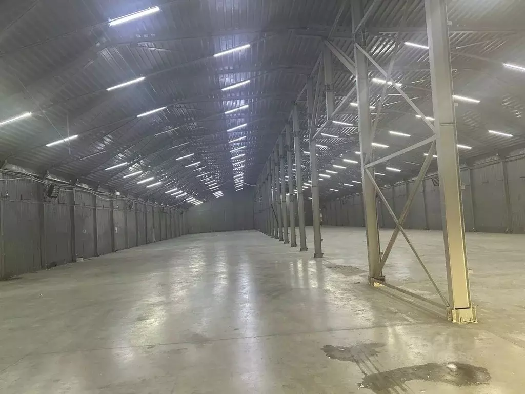 Склад в Московская область, Химки Сходня мкр, ул. Некрасова, 70 (1650 ... - Фото 1