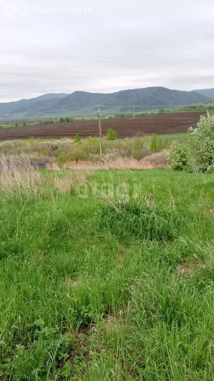 Участок в Белокуриха, Камчатская улица (15 м) - Фото 1