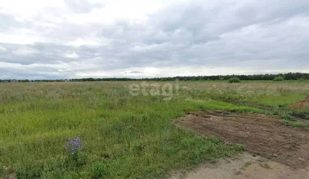 Участок в Омский район, село Розовка (8.16 м) - Фото 1