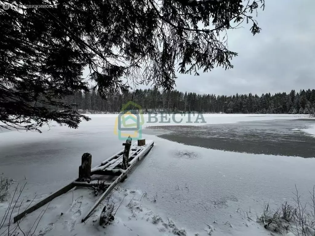 Участок в Всеволожский район (6 м) - Фото 2