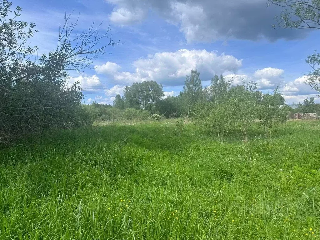 Участок в Московская область, Богородский городской округ, д. ... - Фото 1
